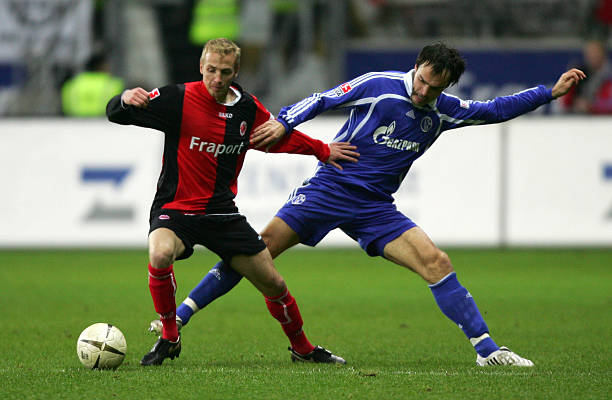 现却引发了 现却引发了