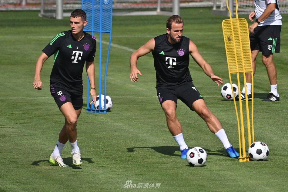 球迷们对球 球迷们对球